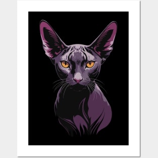 Sphynx Cat 2 Posters and Art